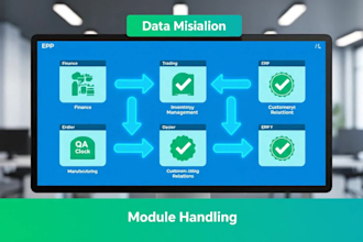 do erp implementation data migration support training and complete erp solutions