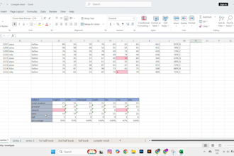 expert virtual assistant for data entry, PDF to excel, and copy paste