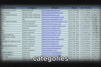 scrape 10,000 verified b2b leads from google maps