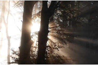 create beautiful quran recitation videos with subtitle