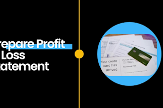 prepare financial statements profit and  loss statements and balance sheets