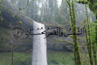create professional islamic and quranic video edits for social media