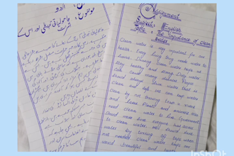 write urdu and english nice handwritten   assignments