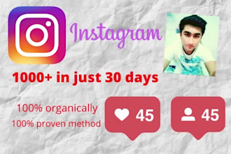 grow and promote instagram page organically