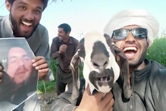 african happy birthday video african happy birthday video
