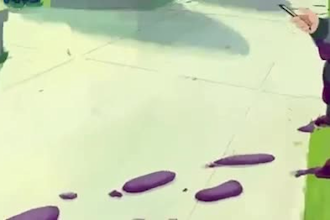 2d cartoon animation video 2d frame by frame animation hand drawn animation