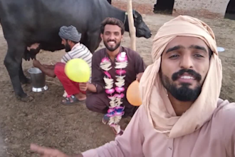 wish funny happy birthday video happy birthday video africa