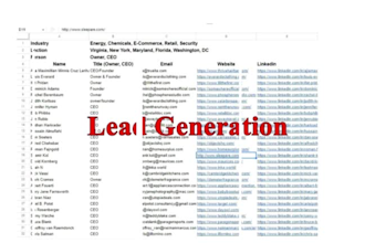 do lead generation, data scraping, prospect list and  contact list building