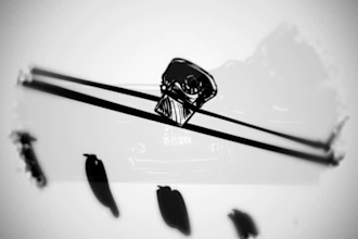 do a StoryBoard or an animated comic video