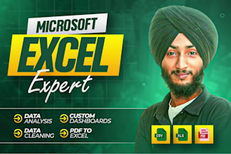 do excel data cleaning and formatting and visualize data