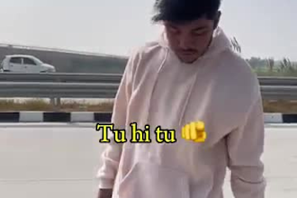 do freelancing projects accroding the needs