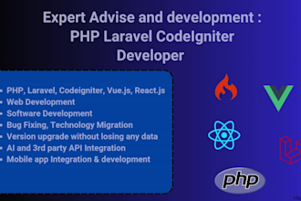 expert shop development plugins CRM erp integration