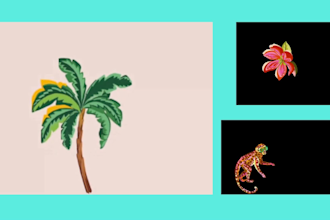 do 2d animation or any adobe after effects task for you