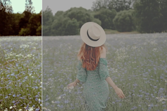 do color grading and color correction for your videos