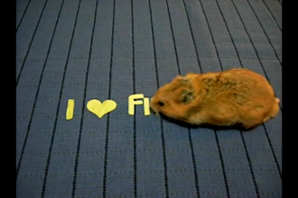 make a video of my hamster who writes your message