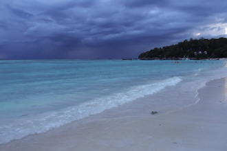 create pure nature videos only in full HD