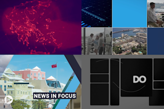 create professional video edits and stunning custom motion graphics