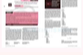 convert word document into attractive indesign layout and PDF format