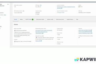 build aws devops ci cd pipeline with docker, kubernetes, and terraform iac