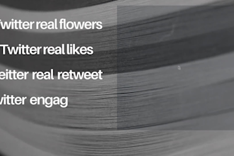 do provide twitter organic growth
