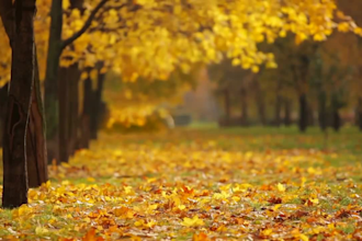 give 1000 full HD nature video and drone video for youtube
