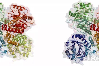 homology modelling for your protein sequence in pdb format