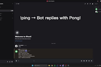 create a custom discord bot with commands and API integration