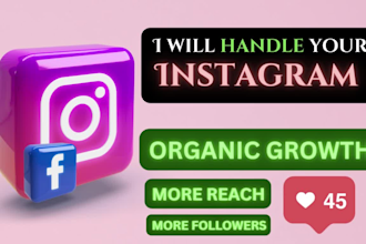 be your instagram marketing manager and content creator