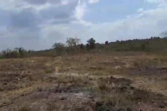 be your procurement and traveling agent in tanzania