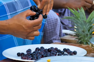 make village cooking video for youtube