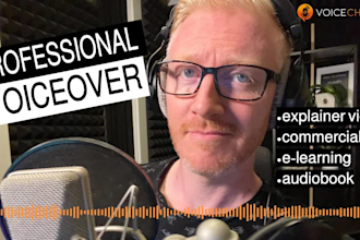 record professional norwegian voice over in top quality