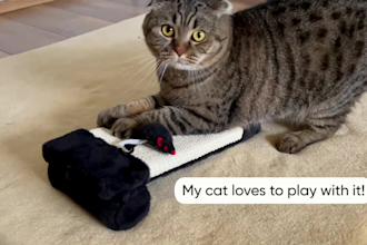 make amazon product videos with my cat