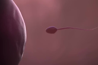 do 3d medical animation, surgery animation, 3d animation, 3d medical explainer