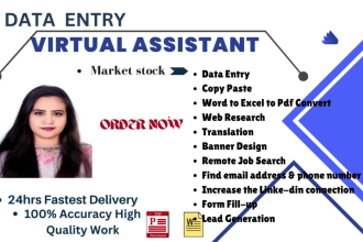 do accurate data entry, data mining, web scrap, PDF convert