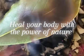 sharing ancient natural remedies and herbal healing recipes