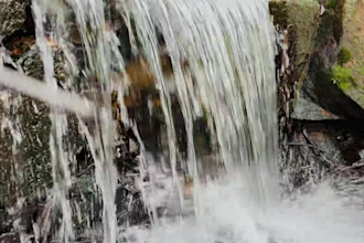 provide recorded  own nature full HD bulk of nature videos