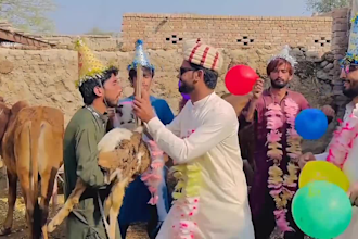 wish african happy birthday video or happy birthday video
