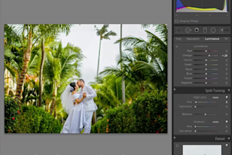 do bulk wedding photo editing ,wedding photo color grading