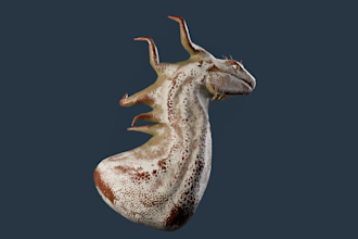 3d dragons and creatures modelling