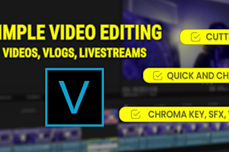 do professional, clean and fast video editing