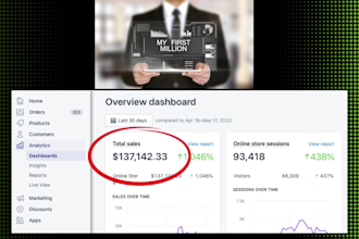 create a professional dropshipping website