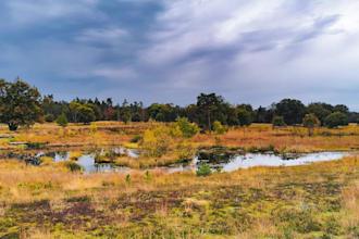 do picture editing and background removal with fast delivery