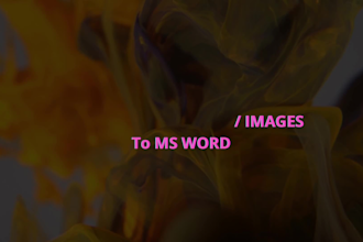 do a fast typing job, retype scanned pages, PDF to word, pro typist