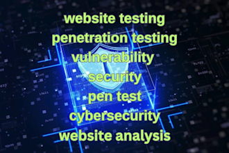 give website testing and penetration testing on your site