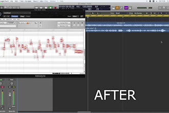 tune and pitch correct your vocal, add fx