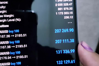 offer profitable forex trading robot, forex trading robot, forex trading robot