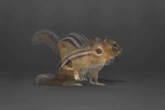 create 3d realistic animal model 3d animal animation, 3d animal character design