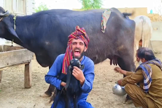 do funny african happy birthday video or happy birthday video