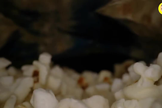 edit short video ads