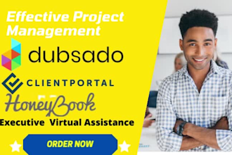 set up dubsado, honeybook CRM accounts, automation workflows